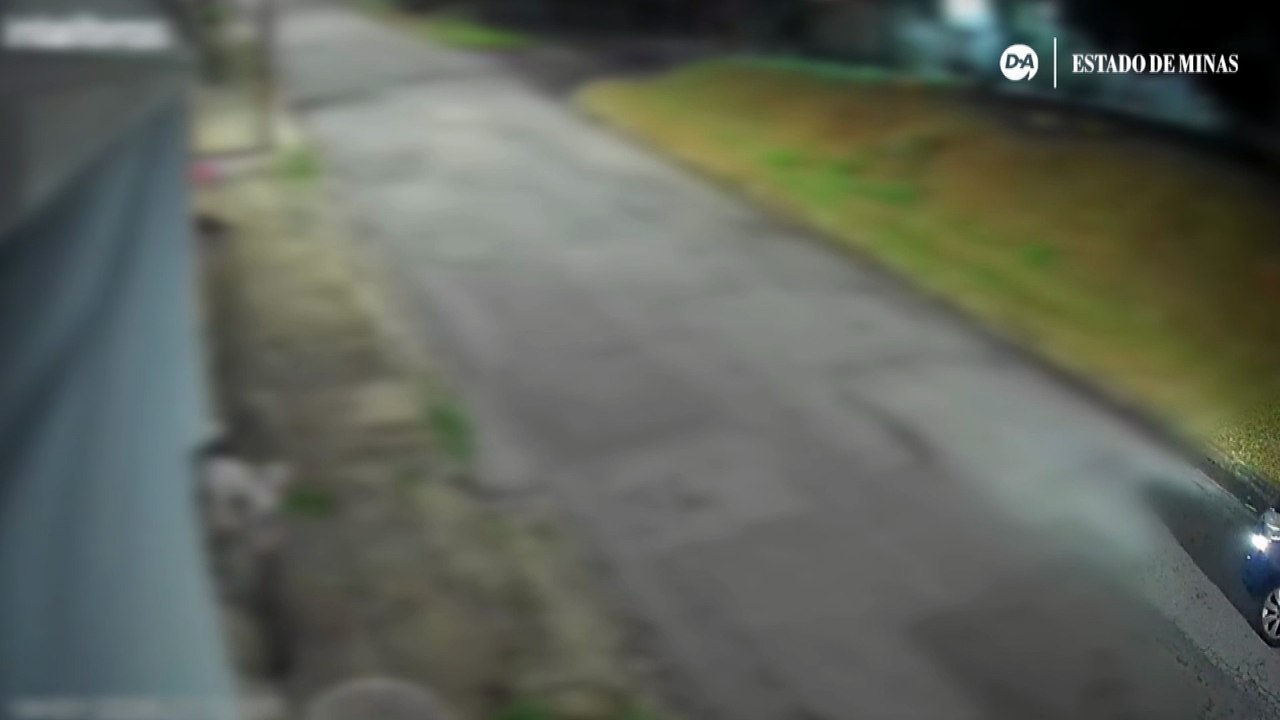 Família procura cachorro furtado em Venda Nova