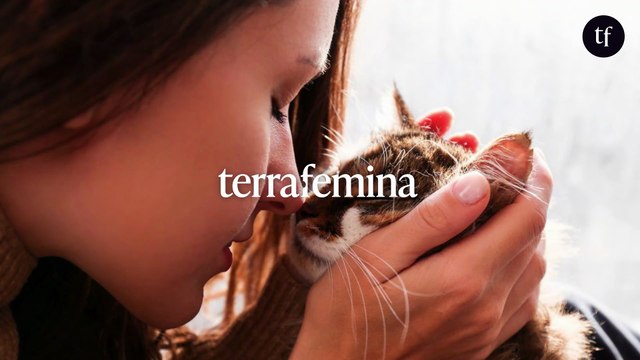 Les chats ne tuent pas les meufs, eux ! : voilà pourquoi les femmes préfèrent les chats aux hommes (et se fichent de finir seules)