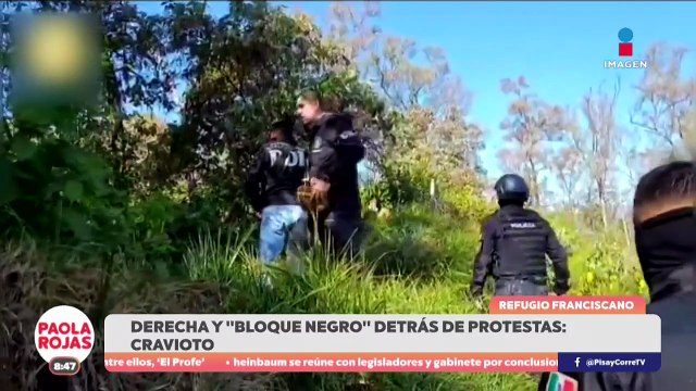 Señalan a titular de Atención Animal por presunto abandono de perros | DPC con Paola Rojas
