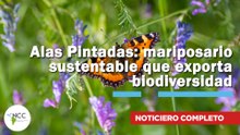 Alas Pintadas: mariposario sustentable que exporta biodiversidad | 831 | 19 al 25 de enero 2026