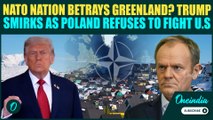 NATO War Breaking! Poland REFUSES to Fight Trump as France, Germany March Troops Into Greenland