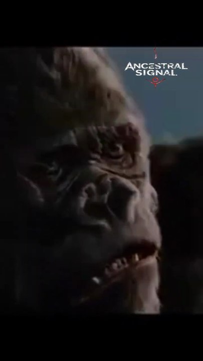 King Kong: La Humanidad Inquietante de Un Monstruo Perseguido