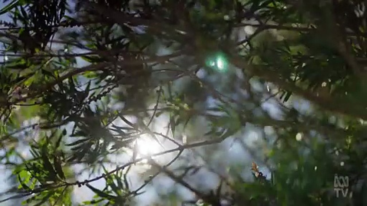 dr karls how things work s02e03