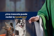 ¿Una mascota puede recibir la bendición?