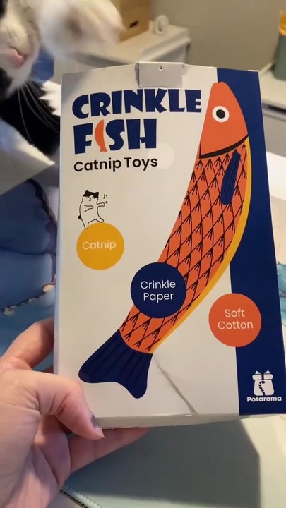 Kick. Bite. Repeat. 🐟