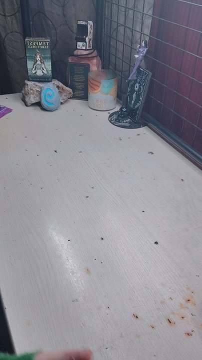 ⚓@VeilOfTidesTarot⚓To book a reading please email me at [ angelicalunavera@gmail.com ]Check out my linktree for payment options and all other Info. Linktree: 🖇️[ https://linktr.ee/Lunavera96 ]Readings are $33.33