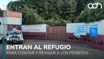 Autoridades del Refugio Franciscano entran al refugio del Ajusco para hacer un censo de perritos