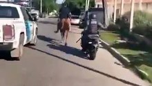 Robo al galope: persecución viral a "caballo-chorros" en el Conurbano