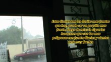 53.- Lluvias fuertes en Mérida Yucatán-México IX