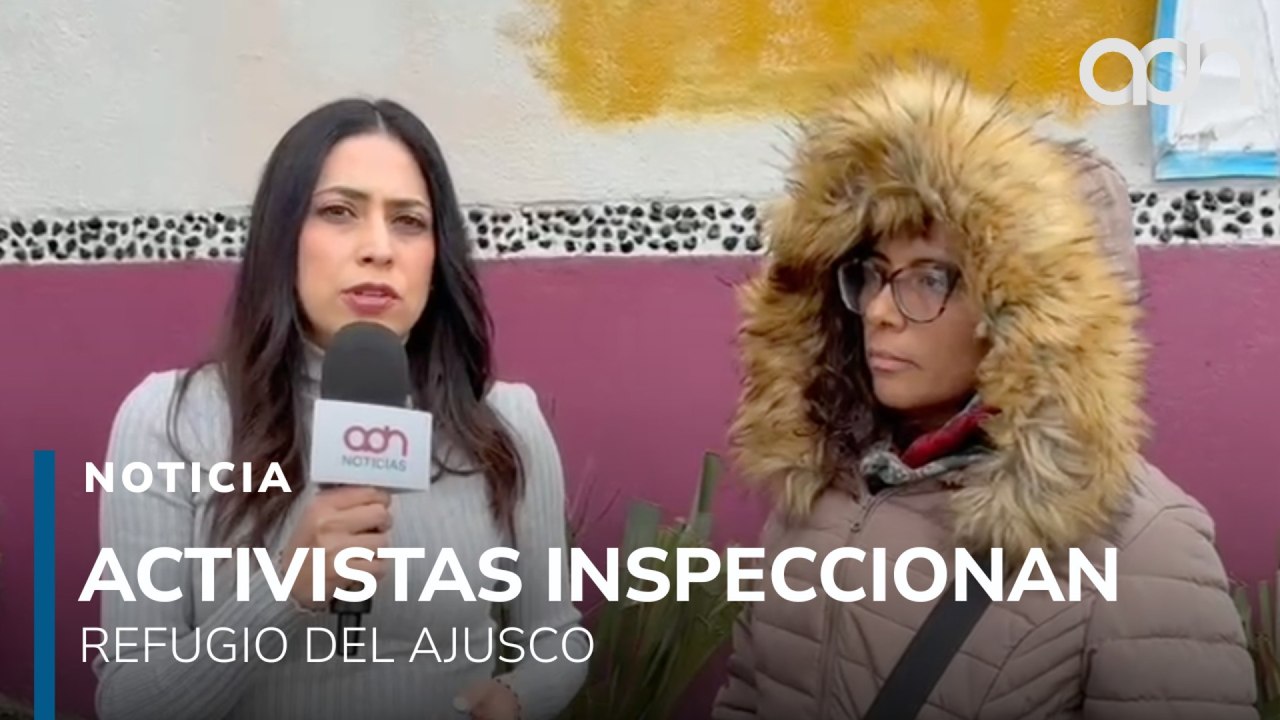 Refugio Franciscano y activistas inspeccionan condiciones de perritos trasladados al Ajusco