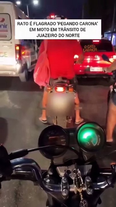 Sem capacete: Rato é flagrado "pegando carona" em moto no interior do Ceará