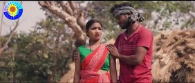 Net Wala Saree | New Purulia Songs 2026