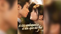 El CEO Enloqueció El Día Que Me Fui - Película Completa [Sub Español] - Romance y Arrepentimiento