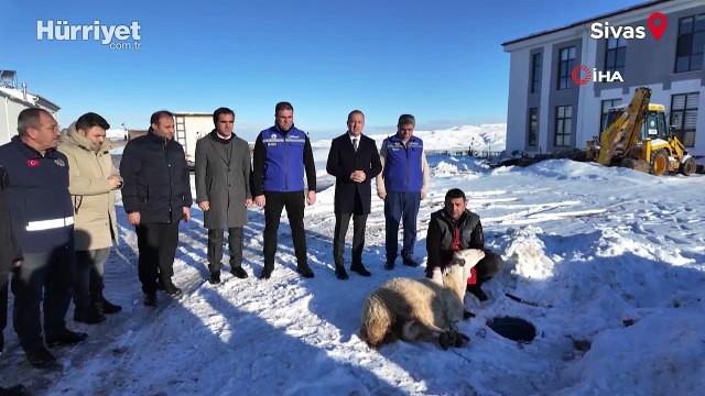 Sivas'ta son günlerde yoğun şekilde yağan kar nedeniyle Sivas Belediyesi şükür koyunu kesti. Sivas Belediye Başkanı Adem Uzun, yaptığı konuşmada Kar rahmettir, berekettir, toprak için can, su kaynakları için umuttur. dedi.