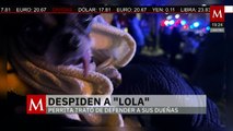 Agresor de Teresa y Cindy también terminó con la vida de Lola, la mascota de la familia