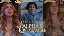 Fated Twist- The Alpha's Love Gamble #englishsub #fullmovie