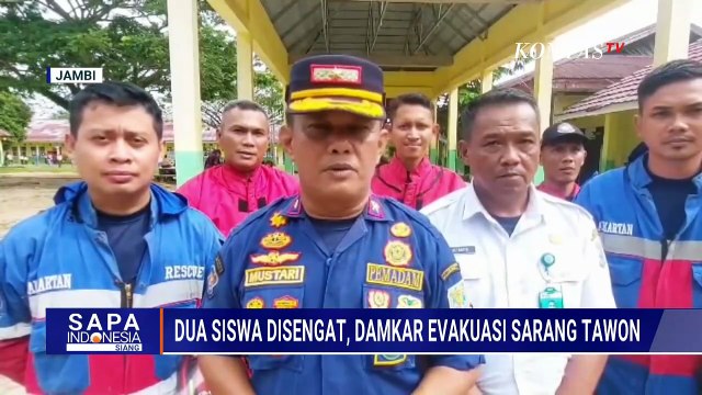 2 Siswa Disengat Tawon Vespa, Damkar Evakuasi Sarang di Sekolah | SAPA SIANG