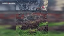 Sokak aralarında gezen tilki şaşırttı