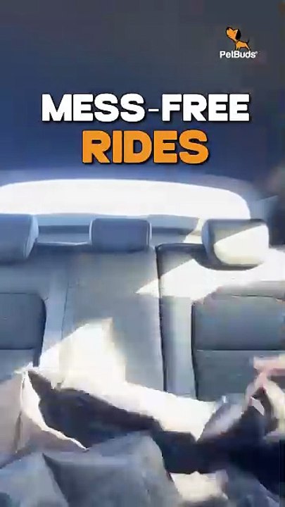 Waterproof Dog Car Seat Cover – Non-Slip Back Seat Protection  PetBuds