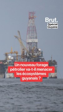 Un nouveau forage pétrolier va-t-il menacer les écosystèmes guyanais ?