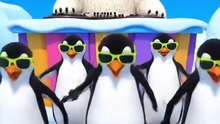 You Won’t Believe How Penguins Party #PenguinDance  #AnimalParty