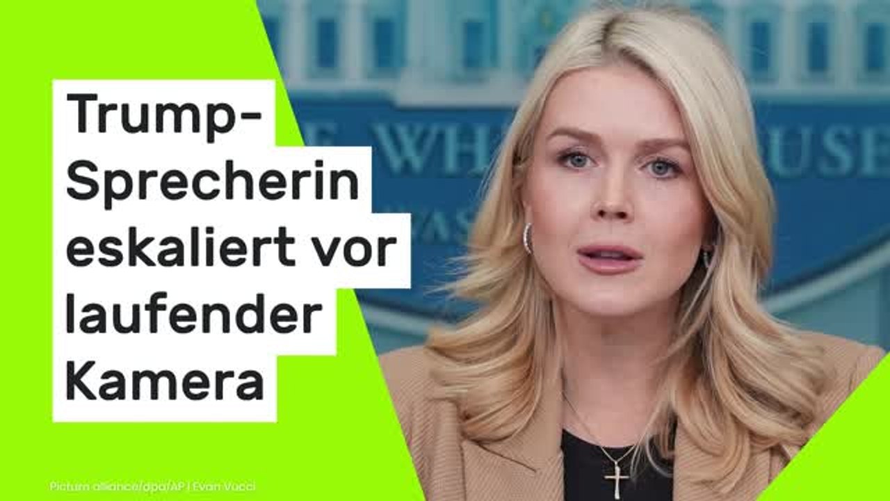 Karoline Leavitt: 'Linker Schmierfink' - Trump-Sprecherin eskaliert vor laufender Kamera