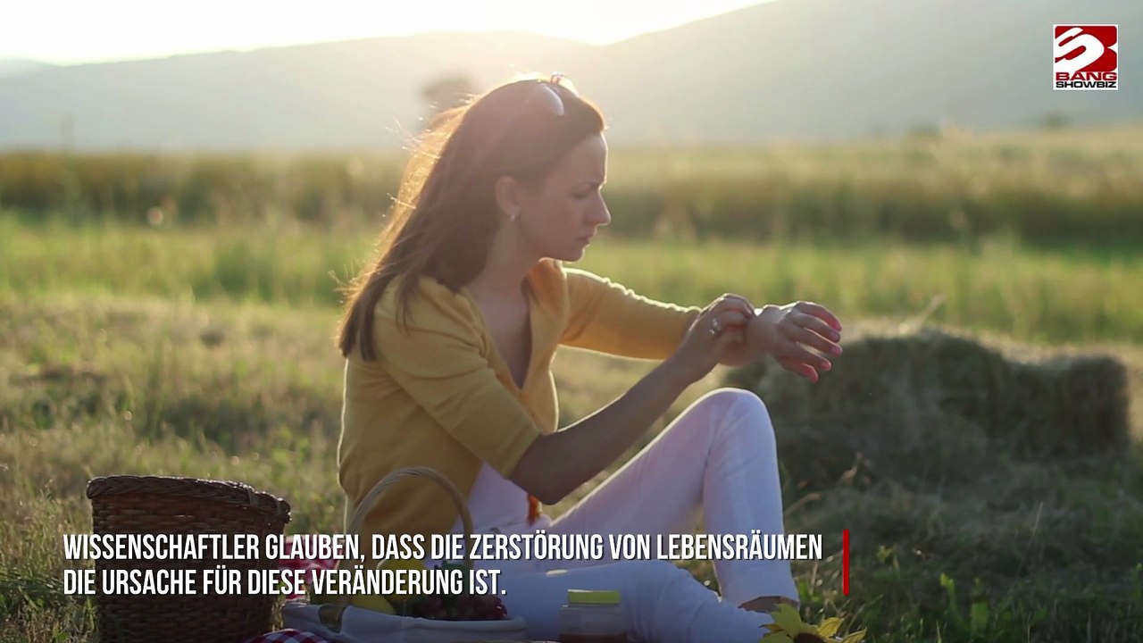 Mücken sind durstig nach menschlichem Blut