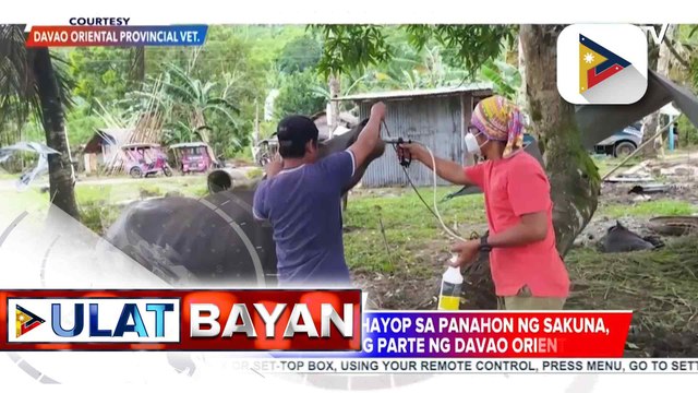 Mga hakbang para maprotektahan ang mga alagang hayop tuwing may kalamidad, pinaiigting ng Davao Oriental | ulat ni Regine Lanuza