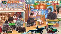 ニノさん 2026年日1月16日 ニノさん VS 竹内涼真 VS Hey! Say! JUMP有岡&薮▼ひらがな作文ポーカーで熱演勝負!
