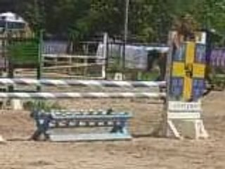 Aurélie & Oliwa en D4p