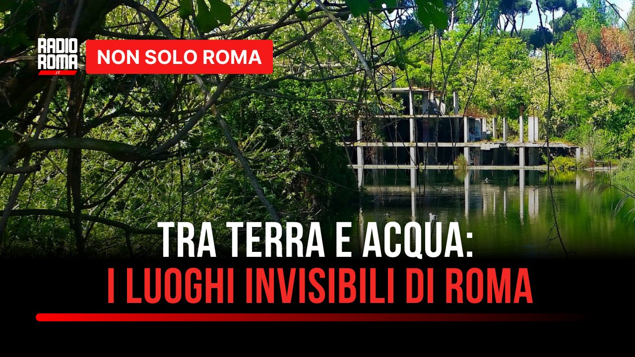 "Tra terra e acqua – I luoghi invisibili che tengono viva Roma”: l'impegno di WWF per tutelare le zone umide della Capitale