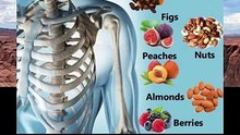 the real nutrient that strengthens your bones