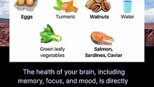 the top 10 foods for brain