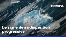 Réchauffement climatique: le plus grand iceberg du monde va disparaître