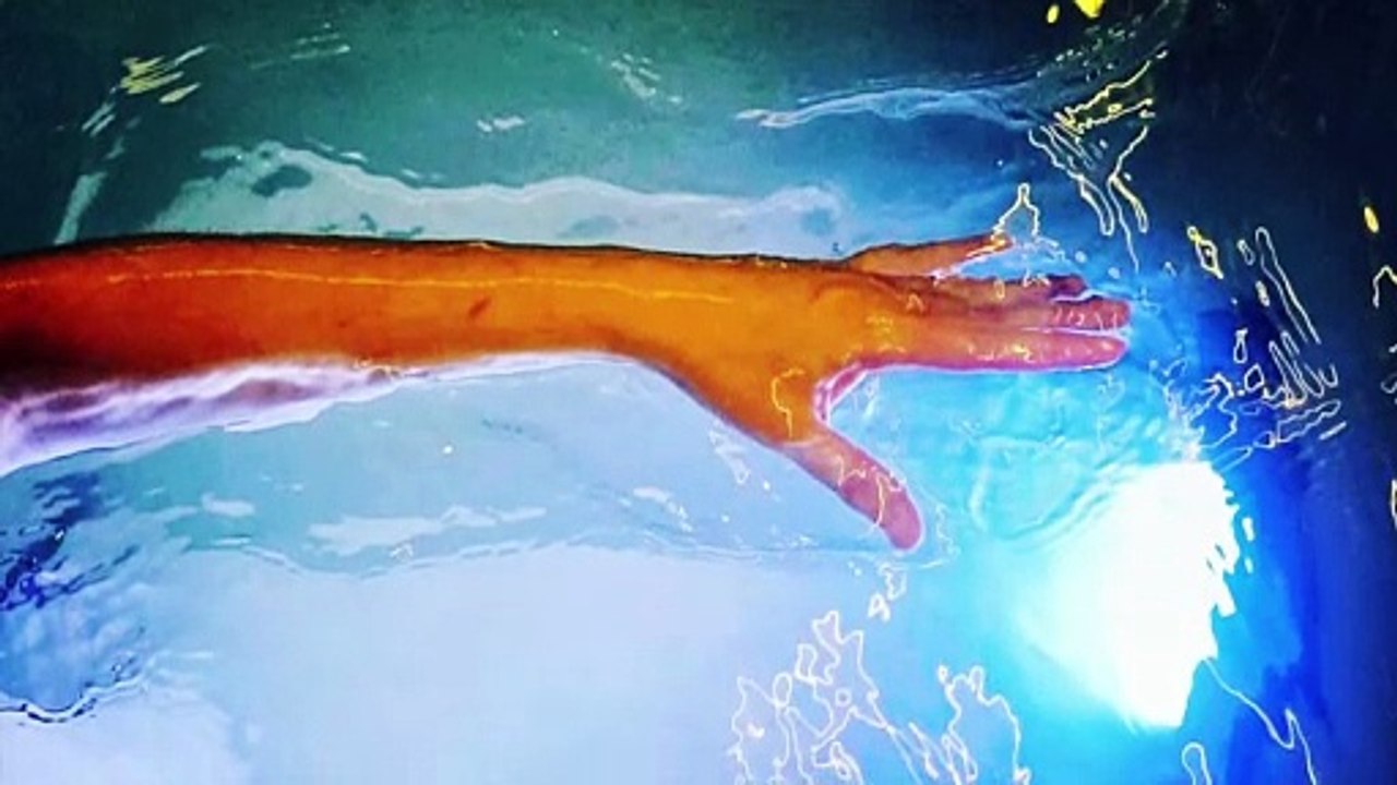 IN  POWER  HOUSE  III