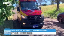 Caso de idoso atacado por pitbulls no Parque Vitória é encerrado pela Justiça