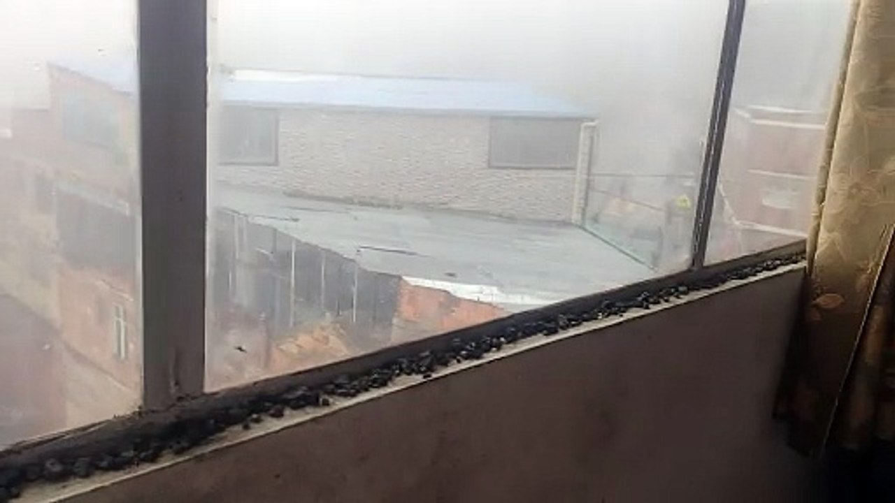 VID_20230312_155604206