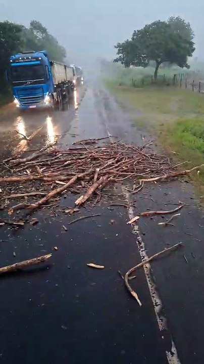 Caminhoneiro catarinense remove galhos da pista durante tempestade no Maranhão e evita acidentes