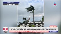 Frente frío 28 provoca vientos intensos y apagones en Veracruz | DPC con Paola Rojas