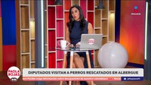 Alertan por fraudes telefónicos que suplantan al SAT | DPC con Paola Rojas
