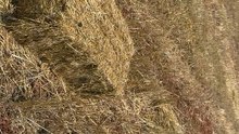 Hay bales are being prepared.