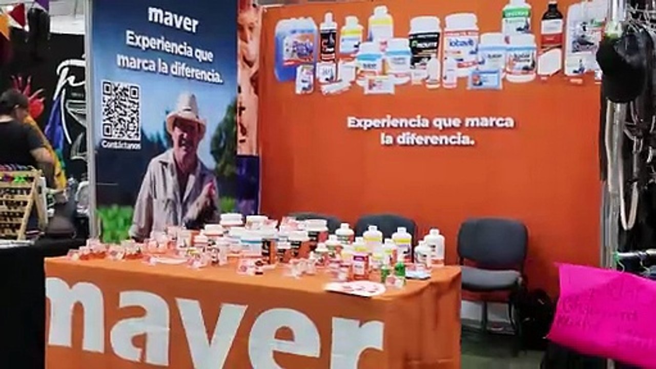 Se registra operativo federal en Centro de Convenciones de Puerto Vallarta