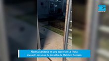 Alerta sanitaria: denuncian invasión de ratas en una alcaidía de La Plata