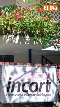 Desapariciones de menores en RD: lo que todos deben saber sobre el mito del secuestro de órganos