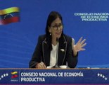Presidenta Encargada resaltó que impulsará créditos para  sectores estratégicos productivos del país