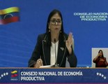 Presidenta Encargada: Todos los sectores de la economía cerraron en positivo, en crecimiento