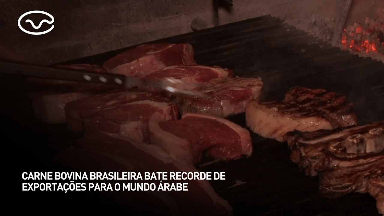 Carne bovina brasileira bate recorde de exportações para o mundo árabe