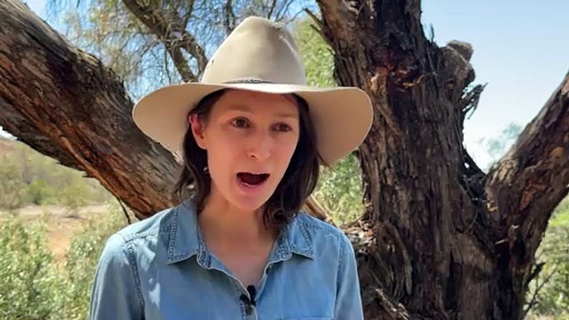 ⁣Outback lake home to hundreds of animals set to run dry in 130-year first