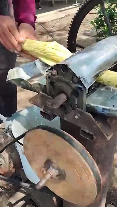 Jus de Canne à Sucre Frais (Guarapo) à Cuba 🇨🇺 | Fresh Sugarcane Juice