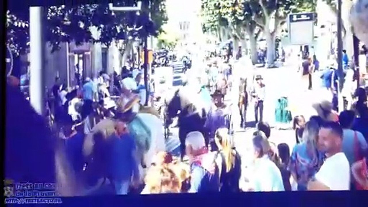 Cérémonie des voeux du maire de Trets PASCAL CHAUVIN 16JANV2026